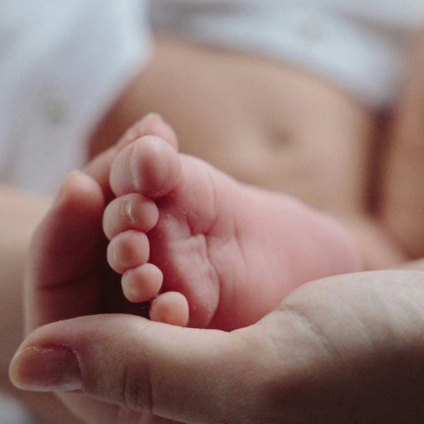 Momcozy products Near me in UAE Dubai abu Dhabi